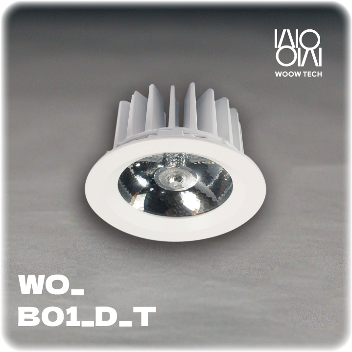 Dimmable CCT Recessed Downlight (Water repellent)