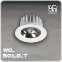 Dimmable CCT Recessed Downlight (Water repellent)