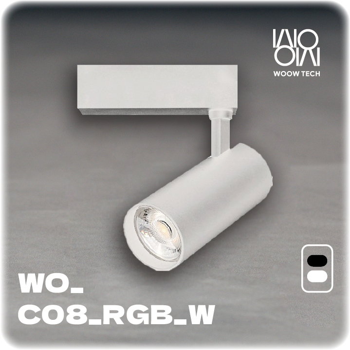 RGBCW Track Light ( white )