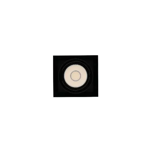 雙色調光AR111單盒燈