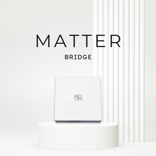 Matter Bridge