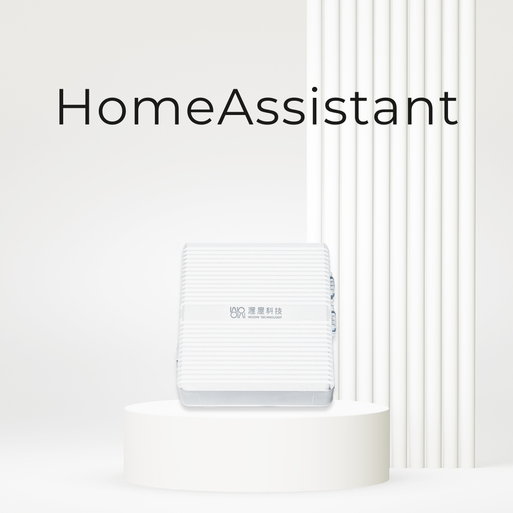 Home Assistant