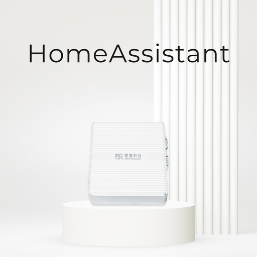 Home Assistant