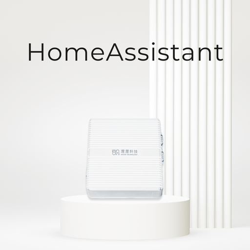 HomeAssistant